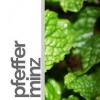 Flavor :  Pfefferminz by rauchFREI