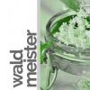 Flavor :  Waldmeister par RAUCHFREI