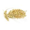 Flavor :  Barley by RAW E-liquid