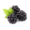 Flavor :  Black Berry by RAW E-liquid