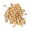 Flavor :  Malt by RAW E-liquid