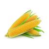Flavor :  Sweetcorn by RAW E-liquid