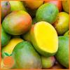 Flavor :  Mango by Real Flavors