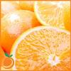 Flavor :  Orange by Real Flavors
