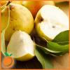 Flavor :  Pear by Real Flavors