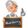Flavor :  Blueberry by Sanne's Dampfwagen
