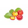 Flavor :  Acerola Cherry by Sasami