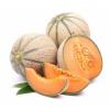 Flavor :  Cantaloupe by Sasami