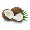 Flavor :  Coconut by Sasami