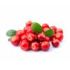 Flavor :  Cranberry by Sasami