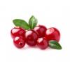 Flavor :  Cranberry Crush by Sasami