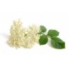 Flavor :  Ederflowers by Sasami