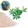 Flavor :  Effervescent Powder Woodruff by Sasami