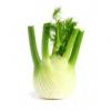 Flavor :  Fennel by Sasami