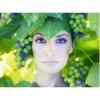 Flavor :  Grape Nymph by Sasami