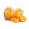 Flavor :  Physalis by Sasami