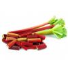 Flavor :  Rhubarb by Sasami