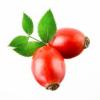 Flavor :  Rosehip by Sasami