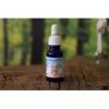 Flavor :  Sasamis Secret 2 by Sasami