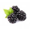 Flavor :  Sweet Blackberry by Sasami