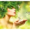 Flavor :  Tropical Dream by Sasami