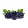 Flavor :  Wild Blackberry by Sasami