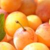 Flavor :  Mirabelle by Saveurs de Vap