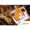 Flavor :  1950s Era Tobacco par SEEDMAN