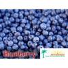 Flavor :  Blueberry by Seedman