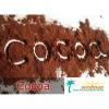 Flavor :  Cocoa by Seedman