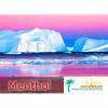 Flavor :  Menthol by Seedman