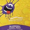 Flavor :  Blueberry Cool Mint by Sensation
