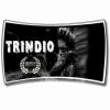 Flavor :  Trindio by Shaman JUICE