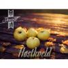 Flavor :  Hostkveld by Skausaft