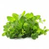Flavor :  Super Mint par SK LIQUID