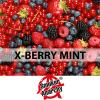 Flavor :  X Berry Mint by Smoker Anarchy