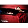 Flavor :  Vampire Freshless par SMOKING BULL