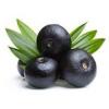 Flavor :  Baie D Acai by Solana