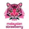 Flavor :  Malaysian Strawberry by Solana