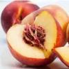 Flavor : brugnon by Solubarome Flavor : brugnon by Solubarome