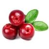 Arôme : Cranberry
Dernière mise à jour le : 23-06-2015 Arôme : Cranberry
Dernière mise à jour le : 23-06-2015