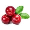 Arme :  cranberry par Solubarome