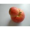 Arôme : Double Pomme Arôme : Double Pomme