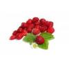 Flavor : fraise bois by Solubarome Flavor : fraise bois by Solubarome