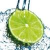Flavor : limette by Solubarome Flavor : limette by Solubarome
