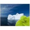 Flavor :  Mint Iceberge by Solubarome