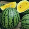 Flavor : pasteque by Solubarome Flavor : pasteque by Solubarome