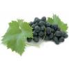 Arme :  Raisin Rouge 
Dernire mise  jour le :  25-02-2018 