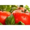 Arme :  Tomato Basilico