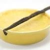 Flavor :  vanilla custard gousses by Solubarome